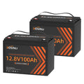 12V 100Ah LiFePO4 Battery 2Pack P1815