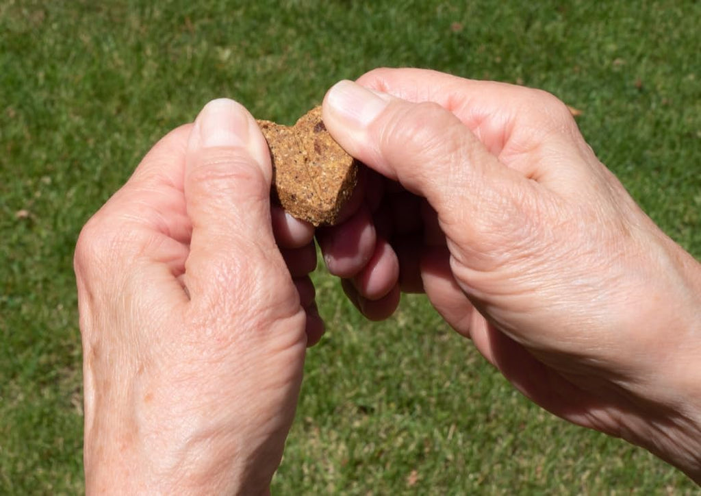 Roasted Duck Grain Free Dog Treats 2-Pack 36oz U299250