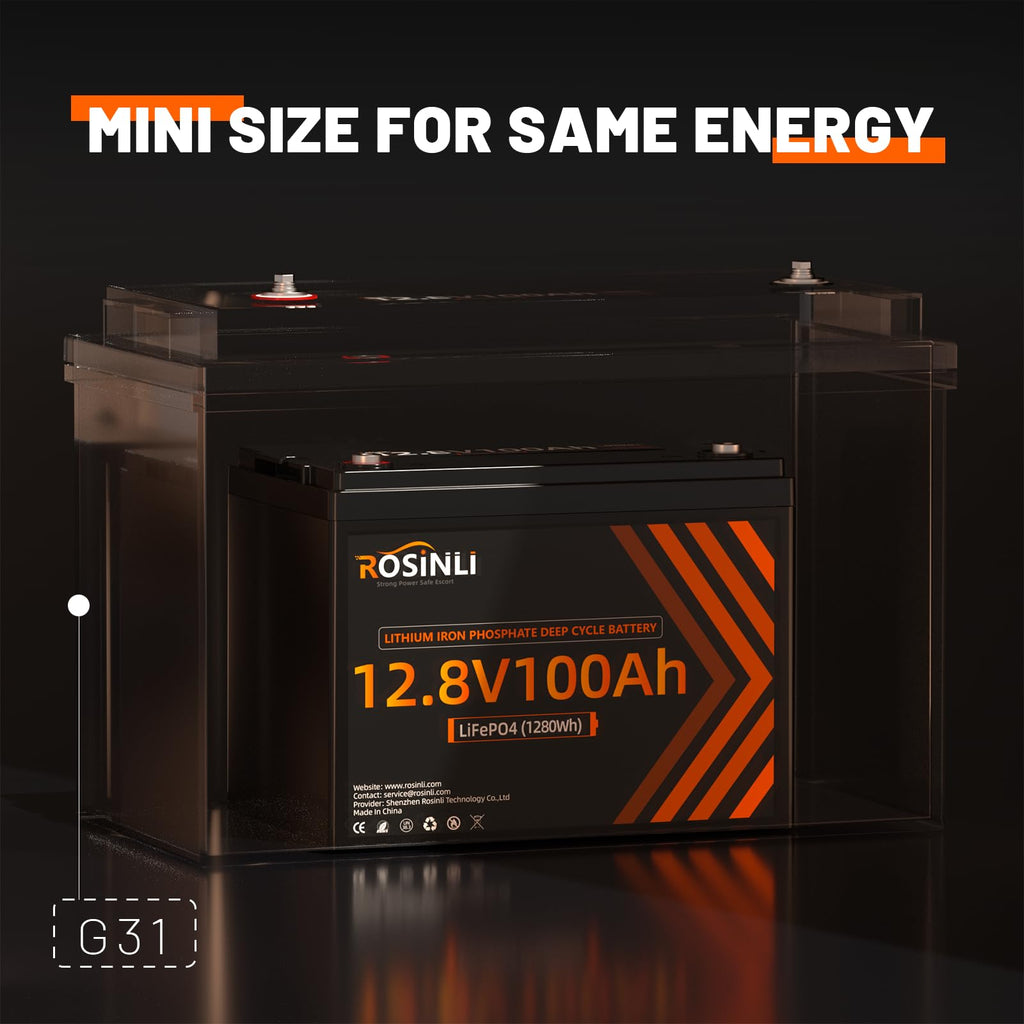 12V 100Ah LiFePO4 Battery 2Pack P1815
