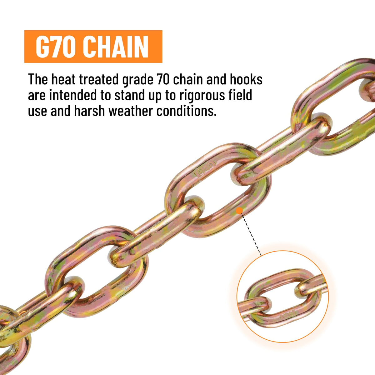 Binder Chain with Clevis Grab Hooks F65128