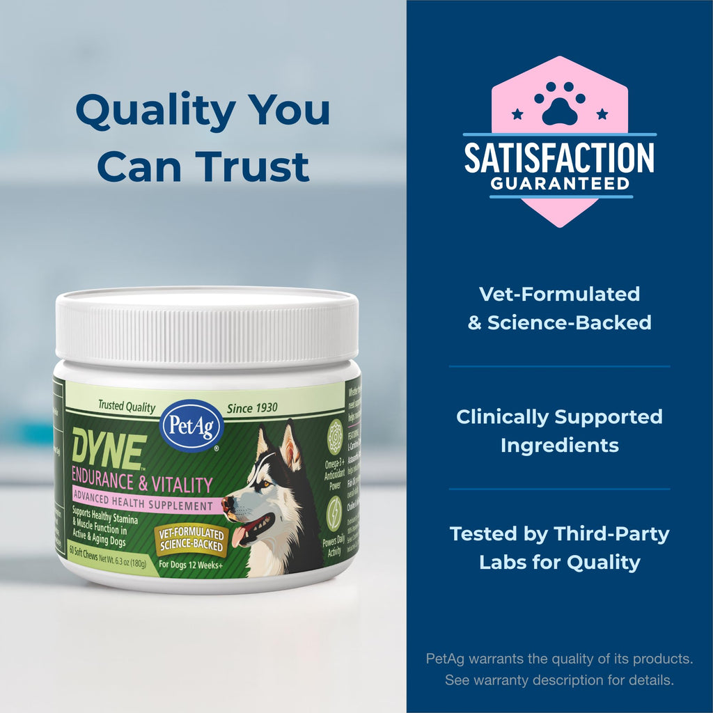 Soft Chews for Dogs 60 Count R227477