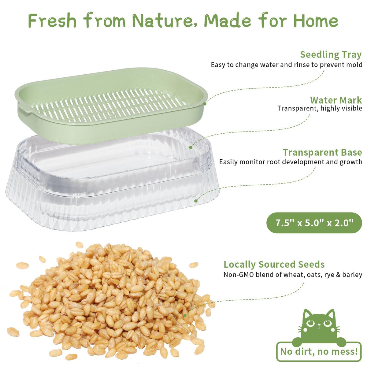 Hydroponic Cat Grass Grow Kit with 5Pack Non GMO Seeds N493