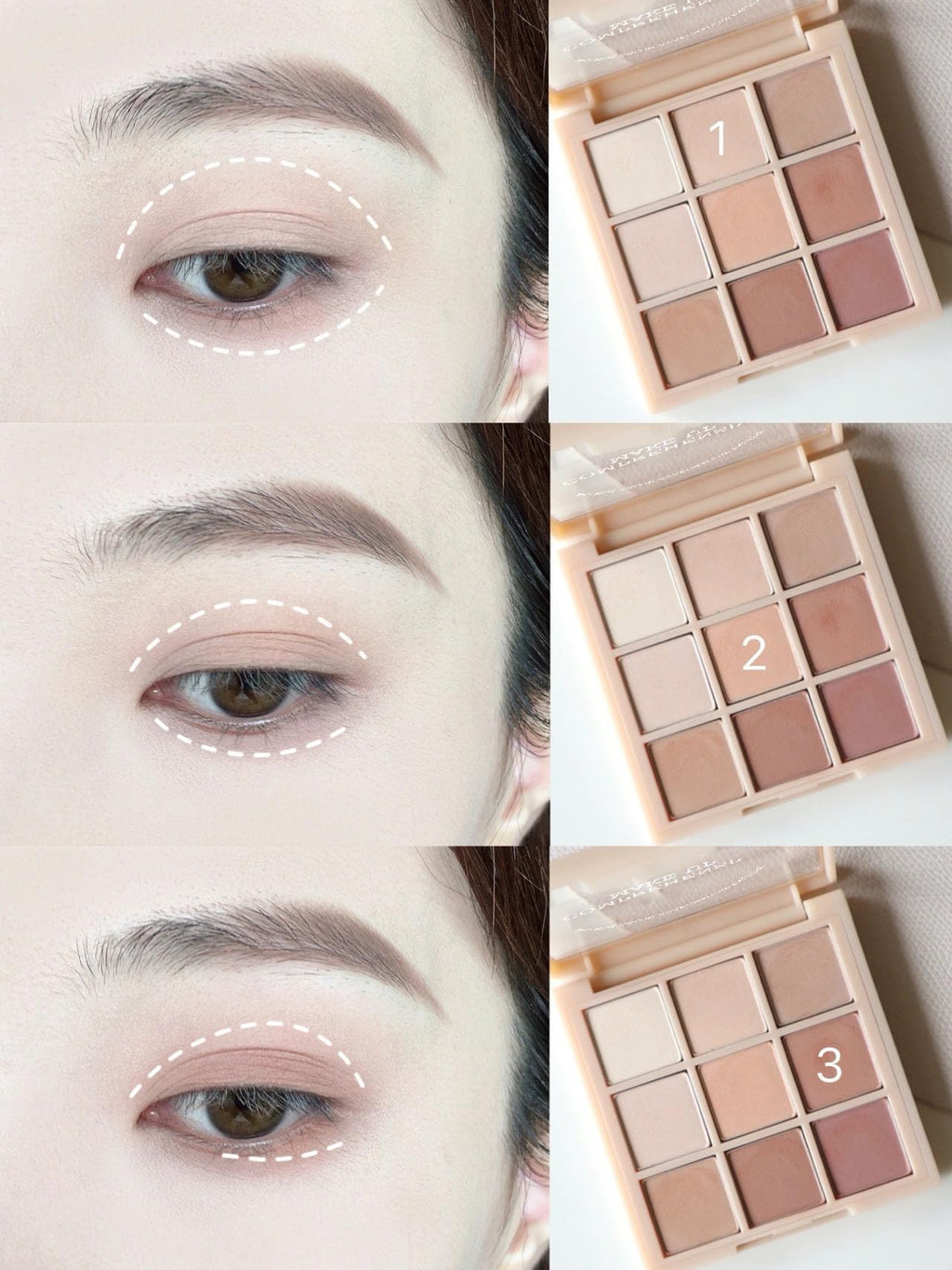 Matte Neutral Eyeshadow Palette D62049