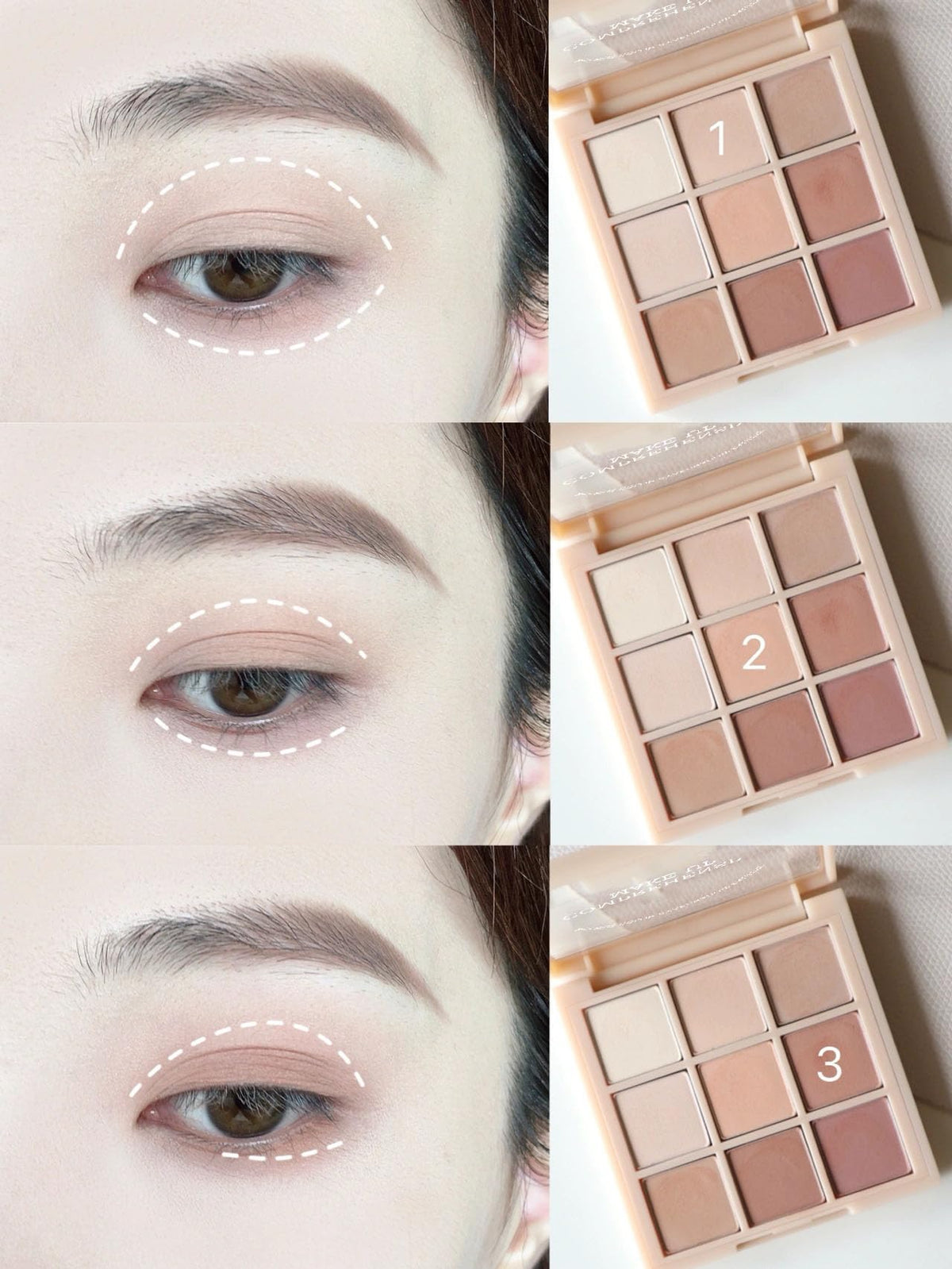 Matte Neutral Eyeshadow Palette D62049