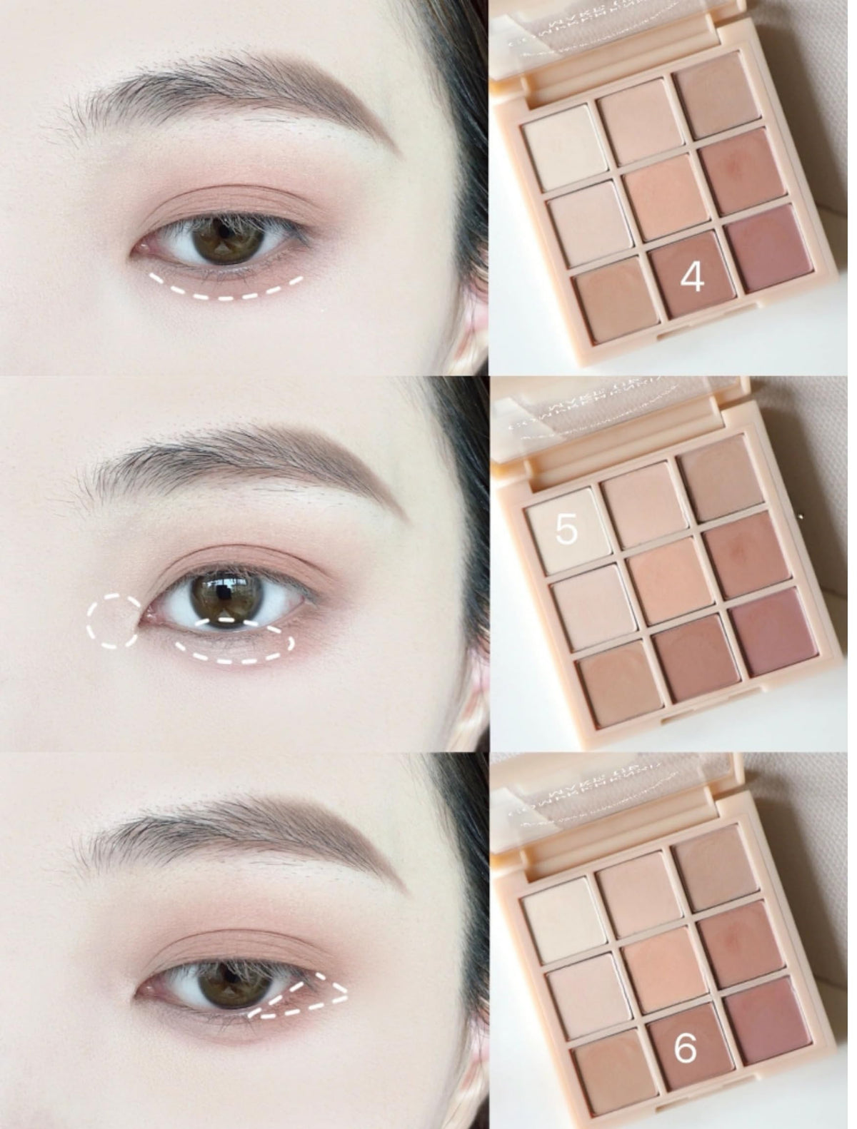 Matte Neutral Eyeshadow Palette D62049