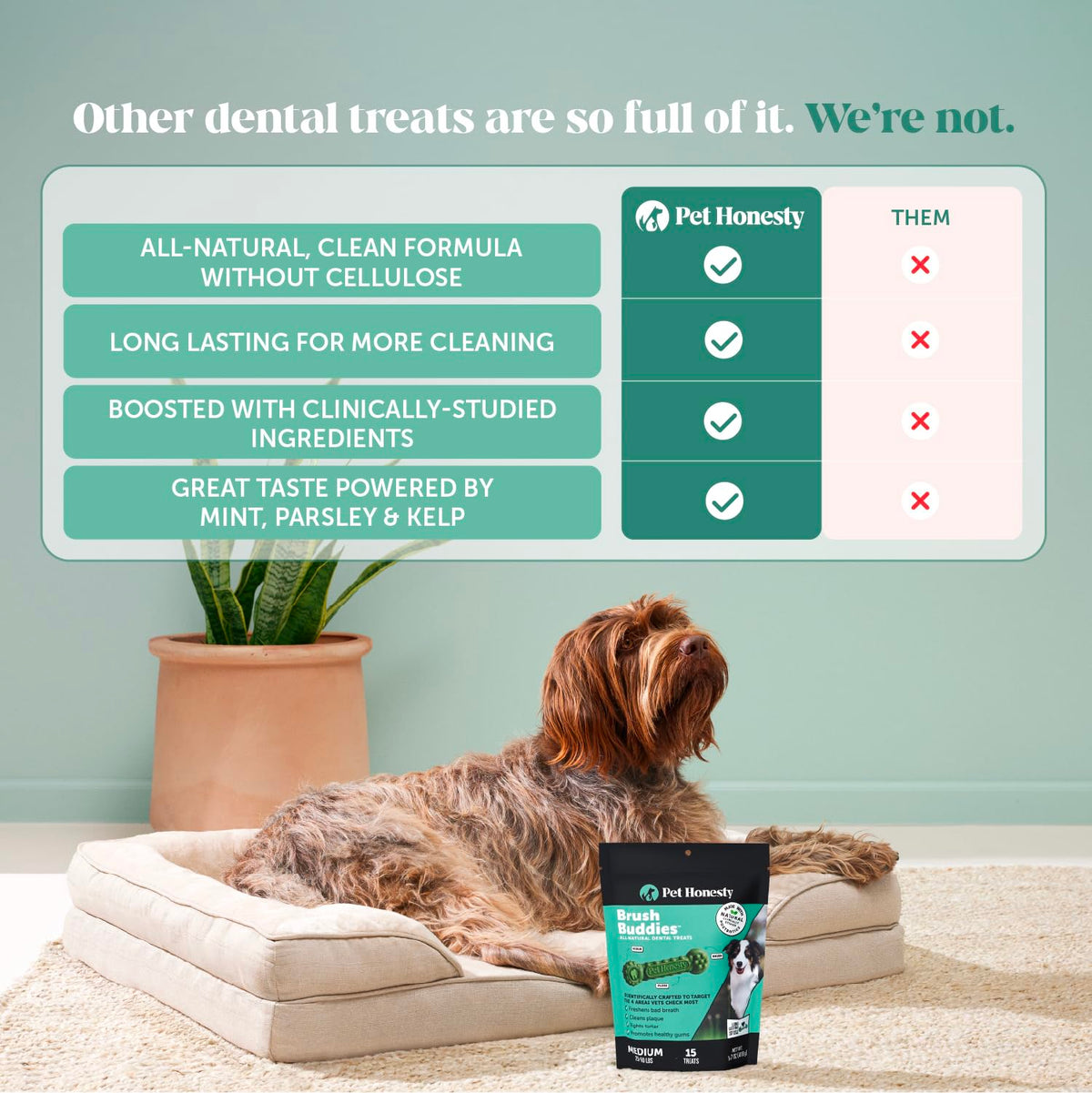 Dog Dental Chews 15 Count P133907