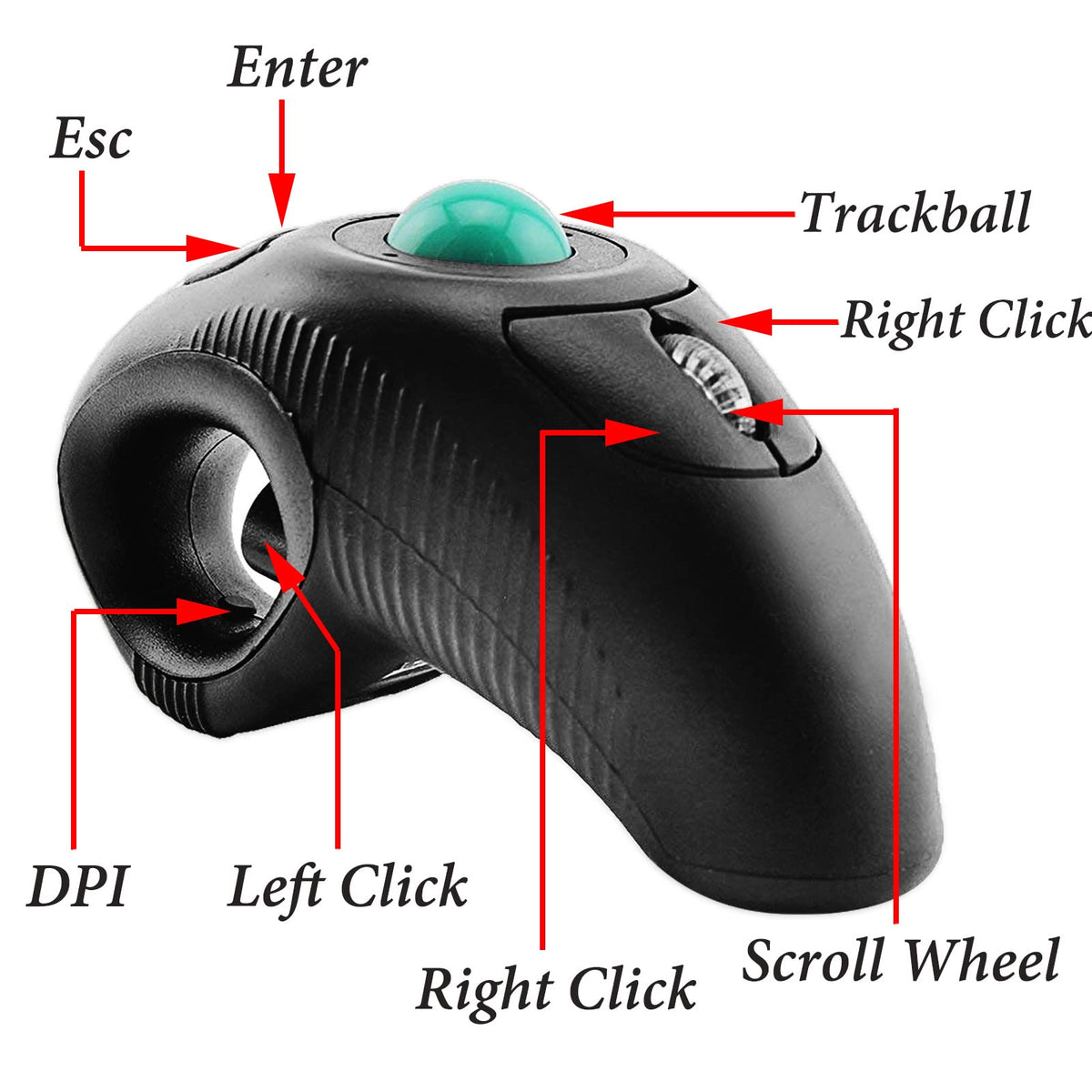 Wireless 2.4G USB Ergonomic Trackball Handheld Finger Mouse Y44507