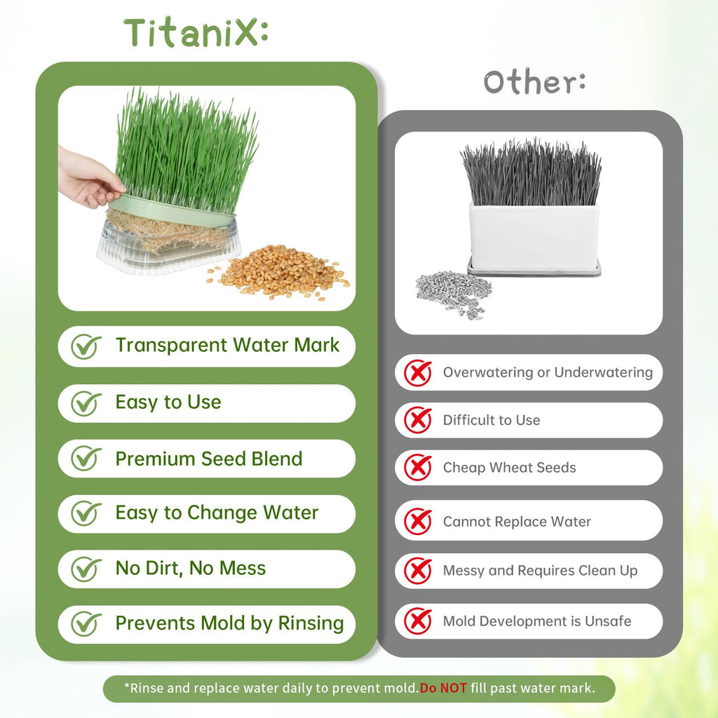 Hydroponic Cat Grass Grow Kit with 5Pack Non GMO Seeds N493