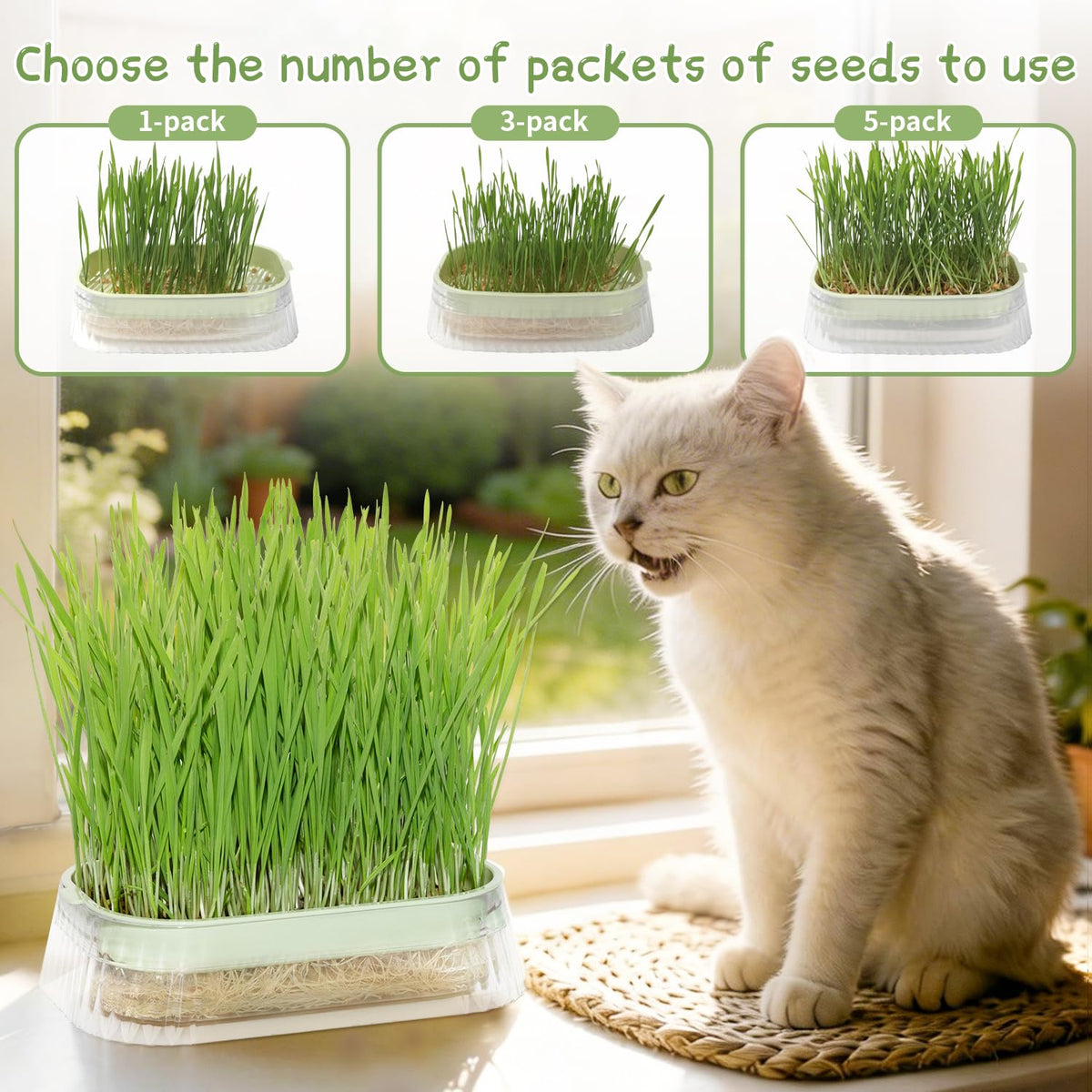 Hydroponic Cat Grass Grow Kit with 5Pack Non GMO Seeds N493