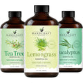 Eucalyptus Tea Tree and Lavender Essential Oil Set 4 Fl. Oz Y648812