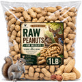 Roasted Unsalted Peanuts in Shell 1 lb Bag T67958