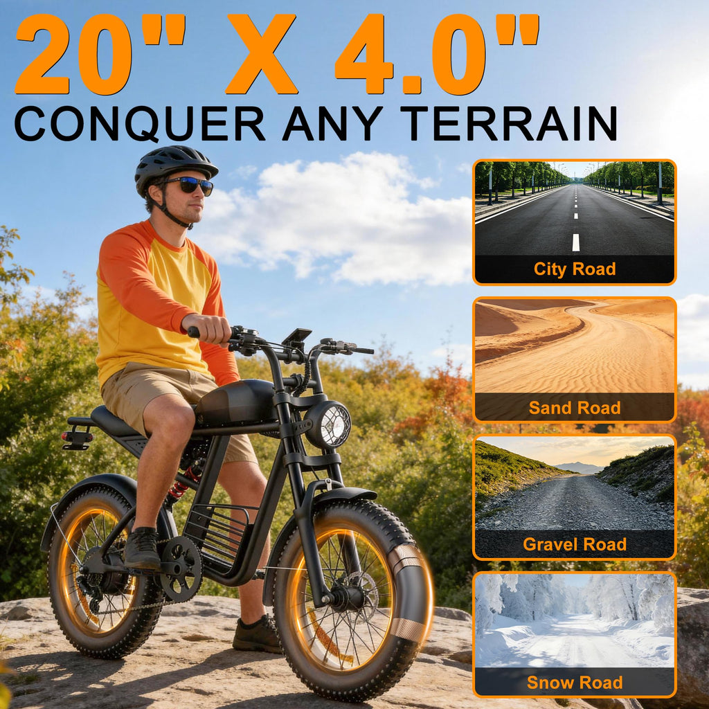 1000W Peak Motor 20" Fat Tire Electric Bike W36523