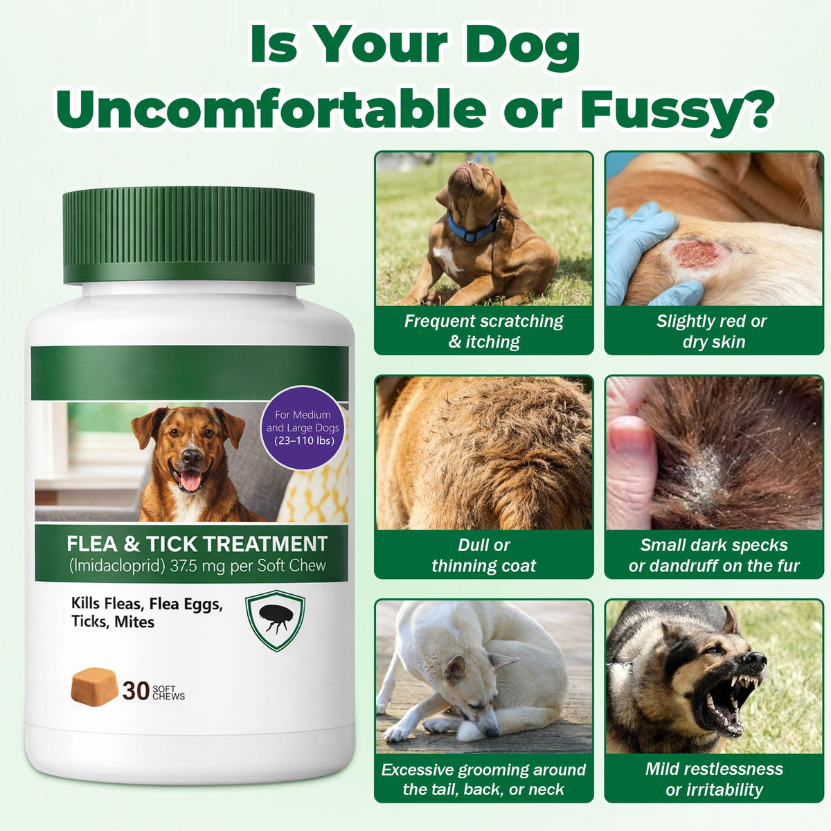 Flea and Tick Prevention for Dogs Imidacloprid Soft Chews 30 Count Q1662