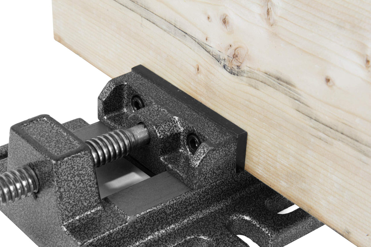 8-Inch 5-Speed Cast Iron Benchtop Drill Press with Vise Y675