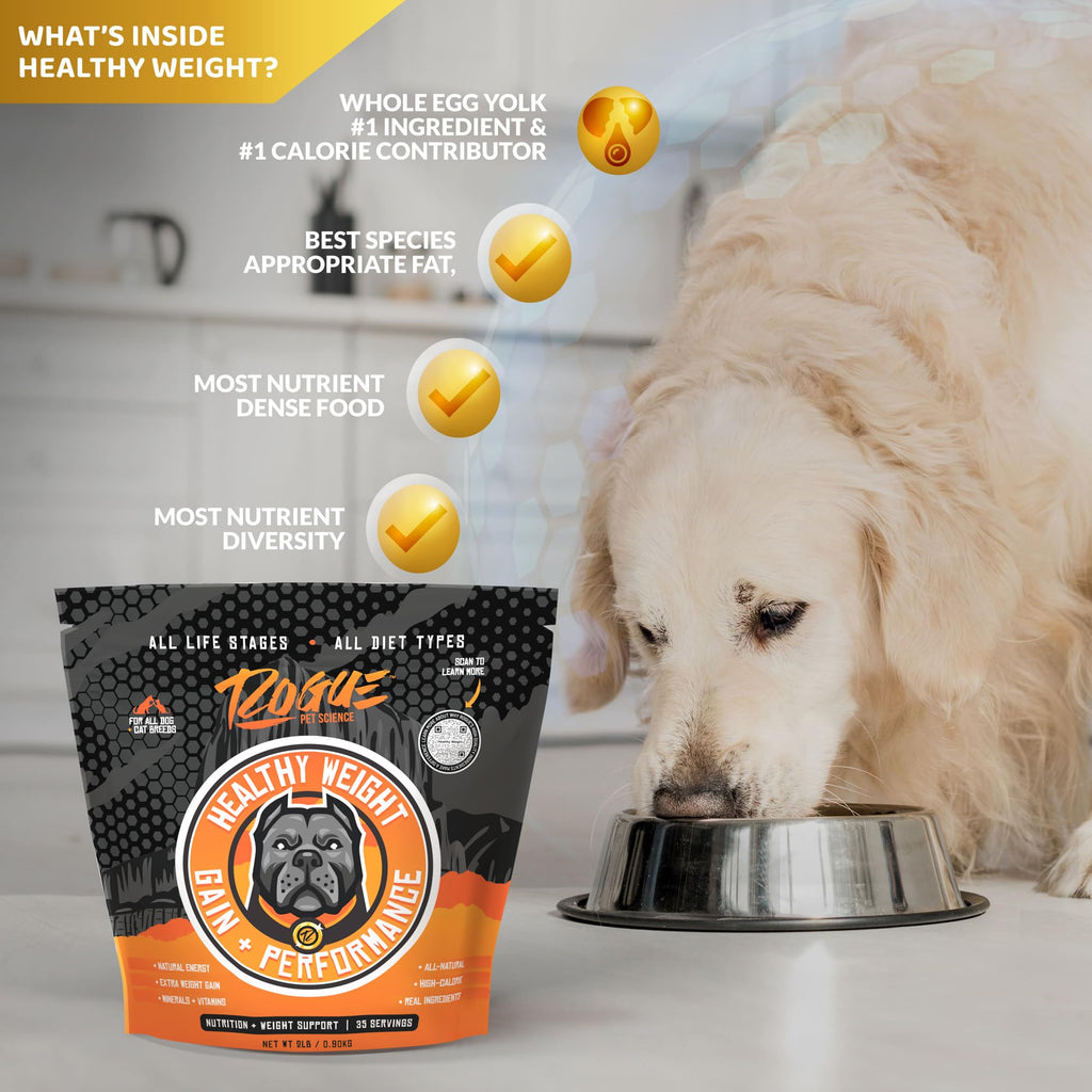 Natural Weight Gainer Dog Food Topper 2 lbs V218974