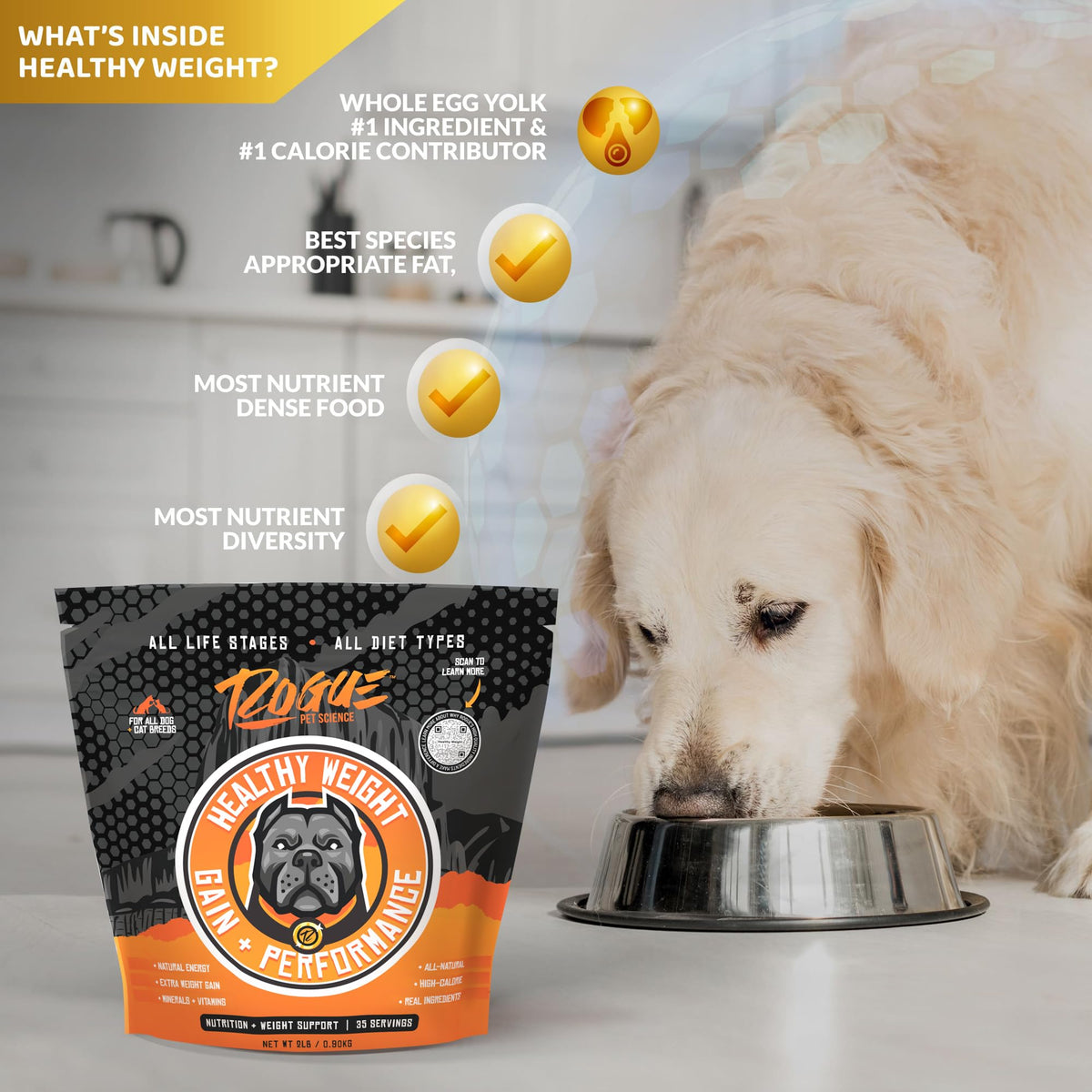 Natural Weight Gainer Dog Food Topper 2 lbs V218974