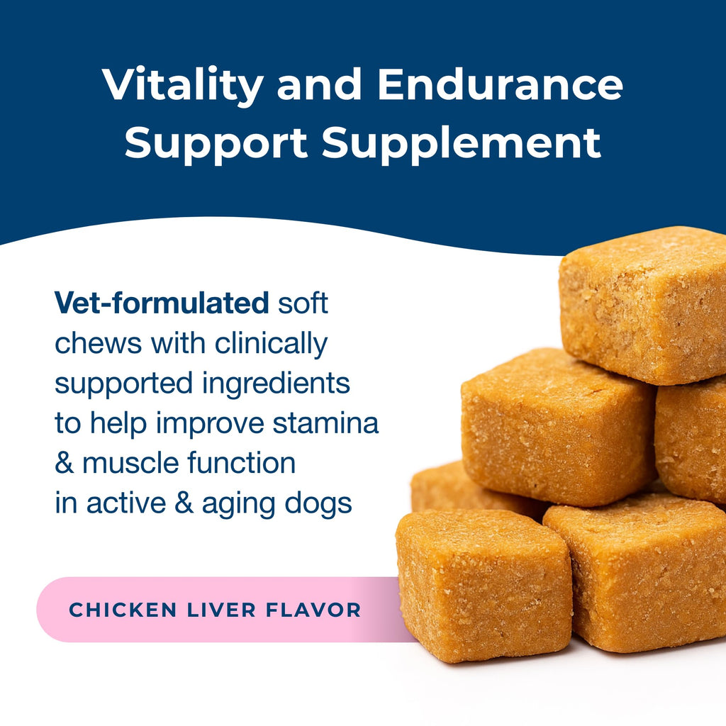 Soft Chews for Dogs 60 Count R227477