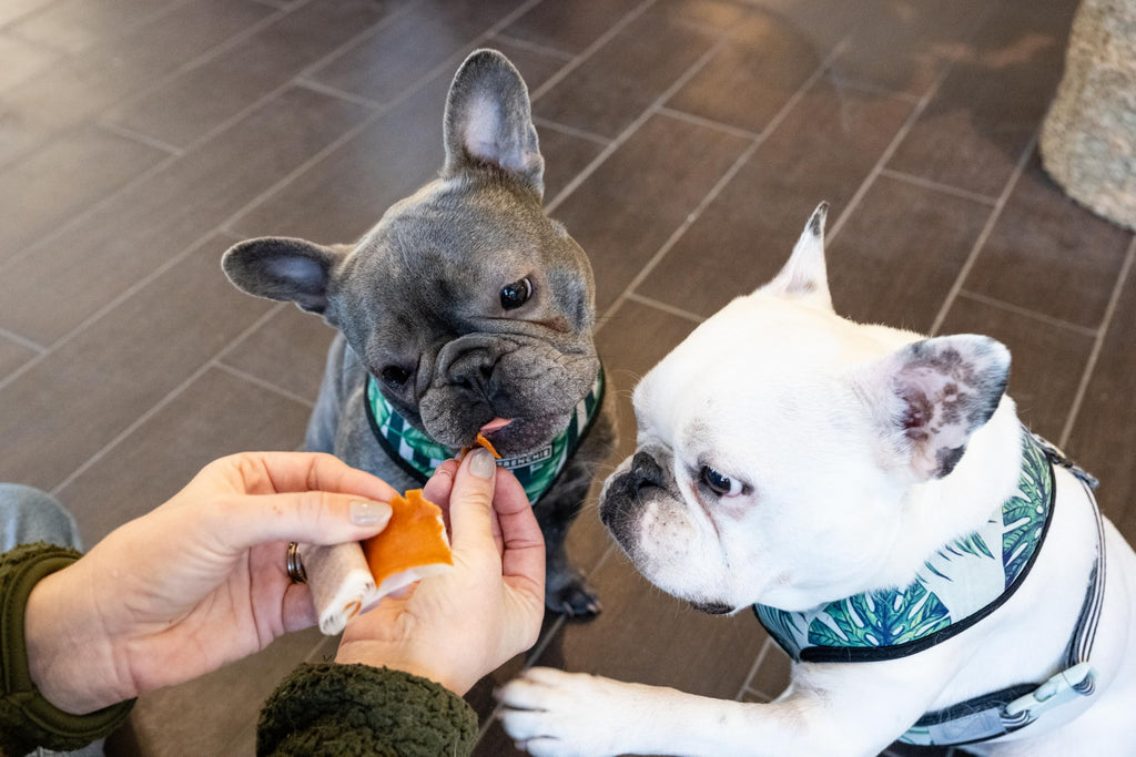 Pill Wrapper for Dogs & Cats, 30 Count M3811