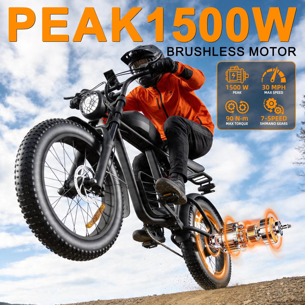 1000W Peak Motor 20" Fat Tire Electric Bike W36523