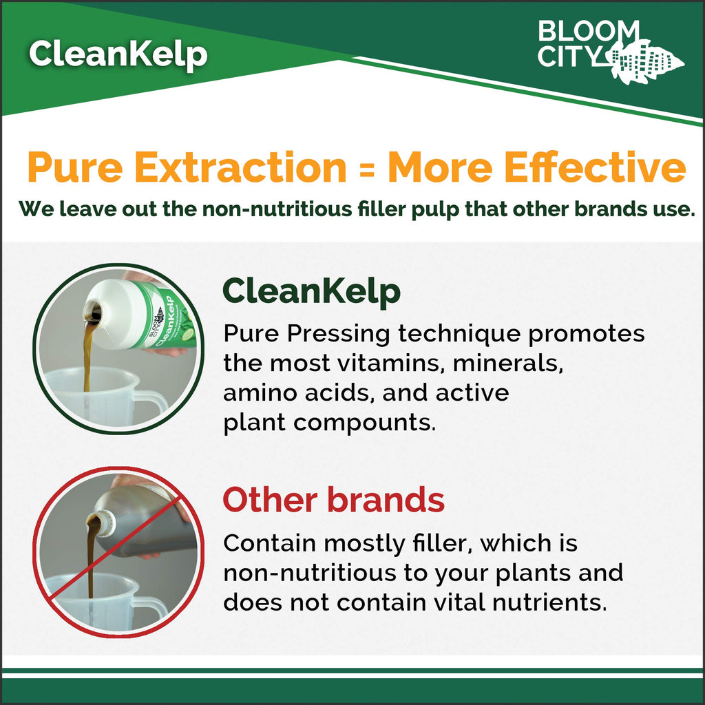 Seaweed and Kelp Liquid Fertilizer 1 Gal O873535