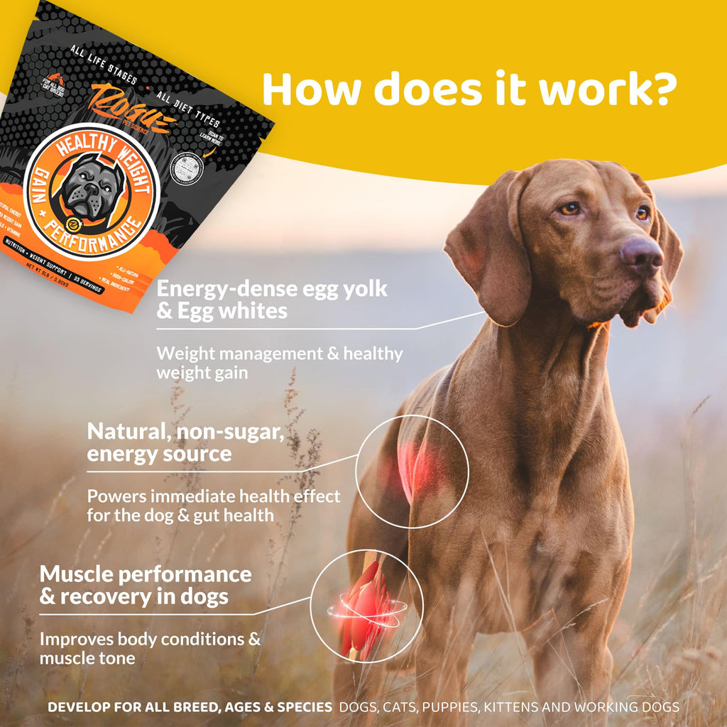 Natural Weight Gainer Dog Food Topper 2 lbs V218974