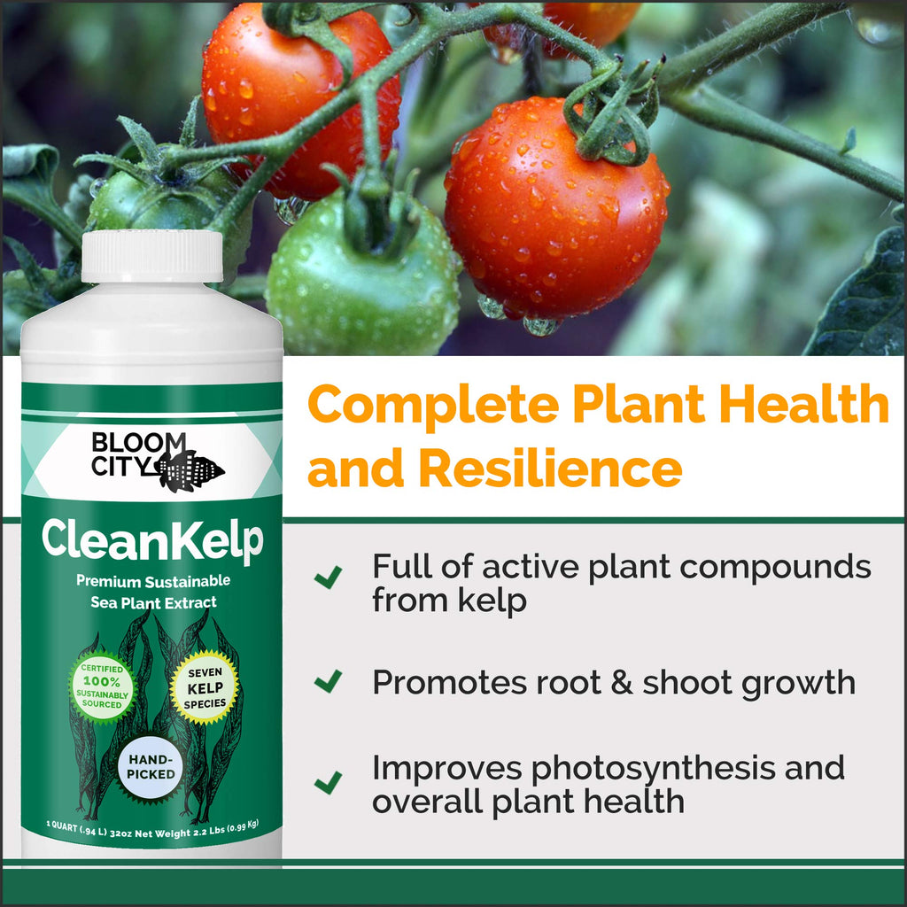 Seaweed and Kelp Liquid Fertilizer 1 Gal O873535