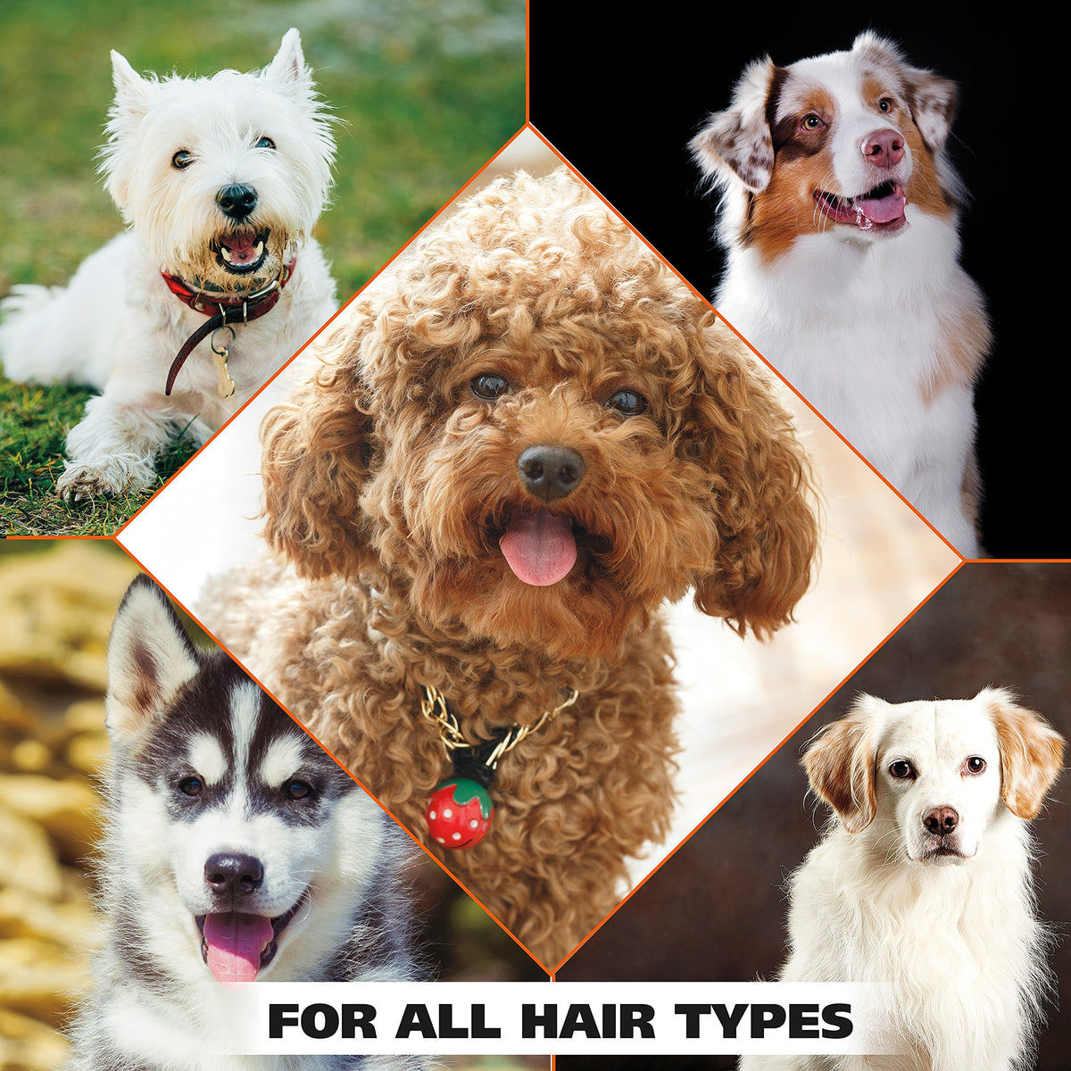 Oatmeal Formula Pet Shampoo 24 Oz E689637